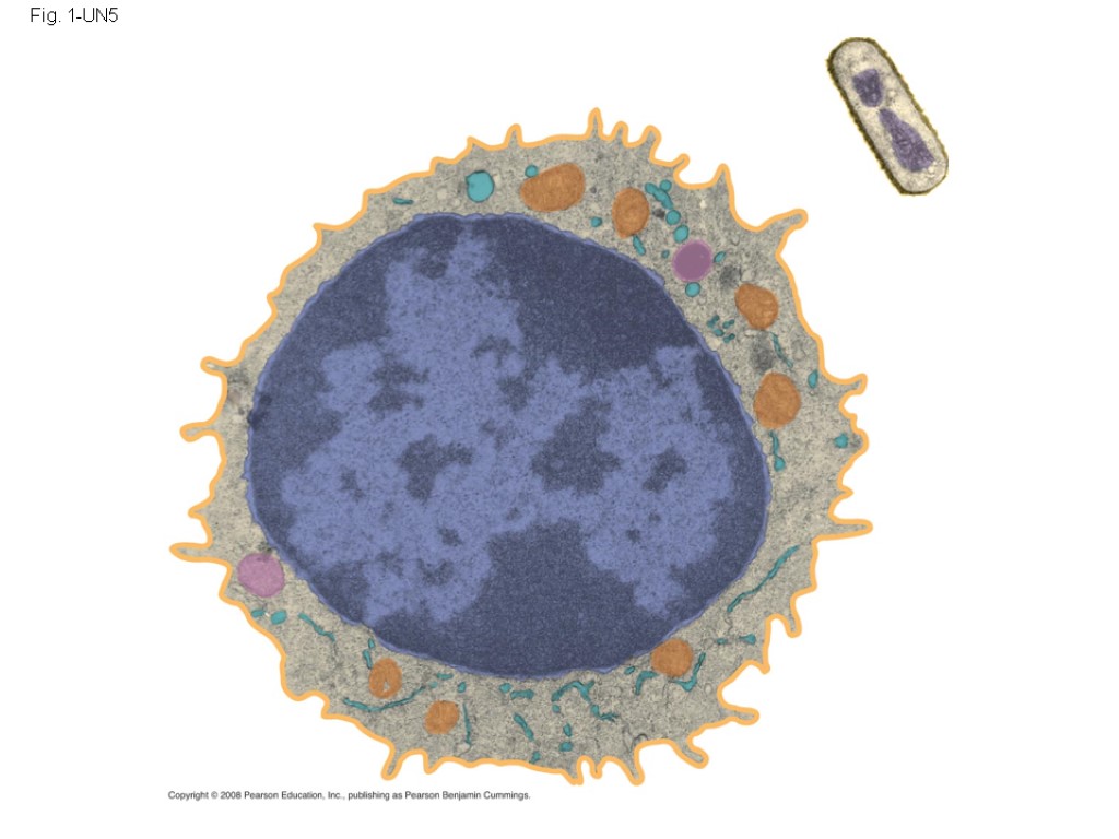 Fig. 1-UN5